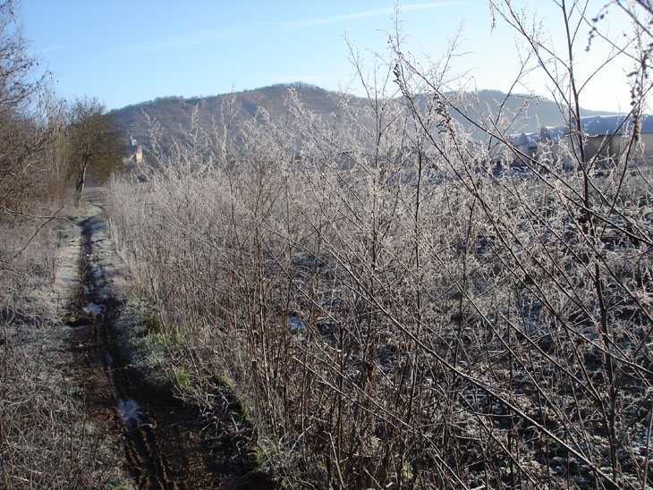 Hiver_11_© Jean-ClaudeMillot.jpg